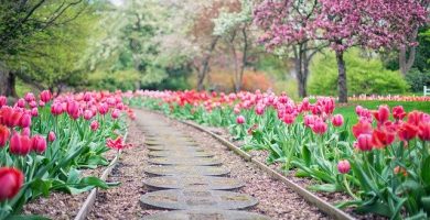 decoración de jardin