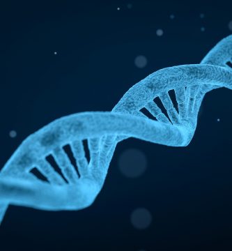 aplicaciones de la ingenieria genetica