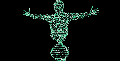 ejemplos de ingenieria genetica