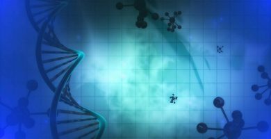 fundamentos de la tecnica del adn recombinante y su utilizacion en la ingenieria genetica