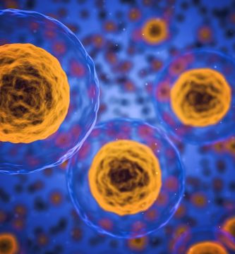 ventajas y desventajas de la ingenieria genetica